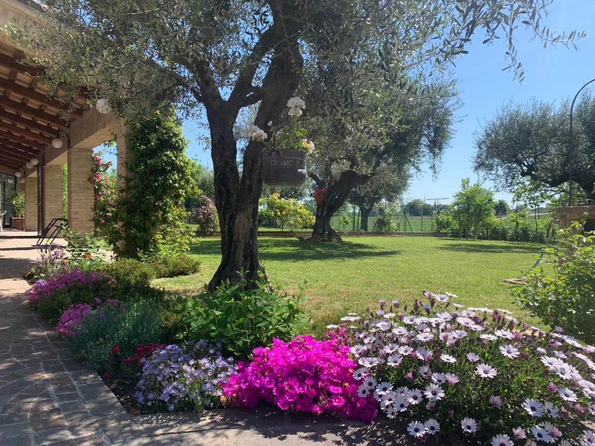 פאנו Guest House Vagamondo מראה חיצוני תמונה