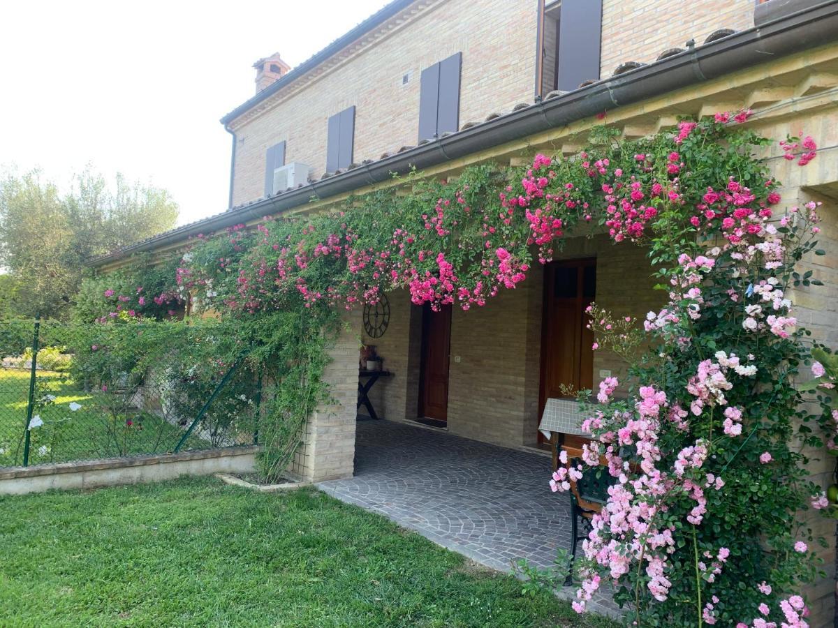פאנו Guest House Vagamondo מראה חיצוני תמונה